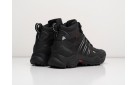 Зимние Ботинки Adidas Terrex Winter цвет: Черный