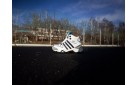 Зимние Ботинки Adidas Terrex Winter цвет: Белый