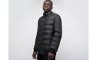 Куртка Philipp Plein цвет: Черный