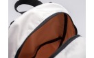 Рюкзак Nike Air Jordan цвет: Серый