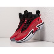 Кроссовки Nike Air Jordan XXXVI