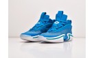 Кроссовки Nike Air Jordan XXXVI цвет: Синий
