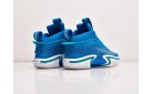 Кроссовки Nike Air Jordan XXXVI цвет: Синий