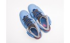 Кроссовки Nike Air Jordan 6 цвет: Синий