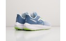 Кроссовки Nike Air Zoom Pegasus 39 цвет: Синий