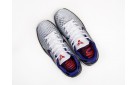 Кроссовки Nike Kobe 6 цвет: Серебристый