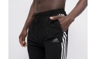 Брюки спортивные Adidas цвет: Черный