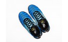 Кроссовки Nike Air Max Plus TN цвет: Синий