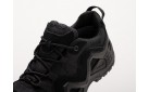 Ботинки LOWA Zephyr GTX Low цвет: Черный