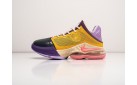Кроссовки Nike Lebron XIX Low цвет: Разноцветный