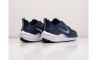 Кроссовки Nike Zoom Winflo 9 цвет: Синий