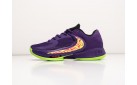 Кроссовки Nike Zoom Freak 4 цвет: Фиолетовый