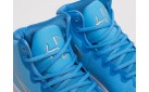 Кроссовки Nike Hyperdunk 2017 цвет: Голубой