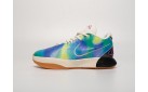 Кроссовки Nike Lebron XXI цвет: Разноцветный
