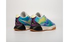 Кроссовки Nike Lebron XXI цвет: Разноцветный