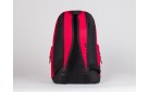 Рюкзак Nike цвет: Красный